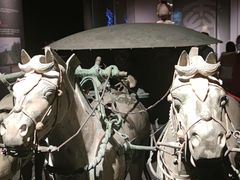 -西安赛瑞喜来登大酒店