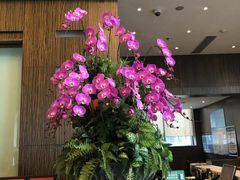 -上海虹桥西郊假日酒店