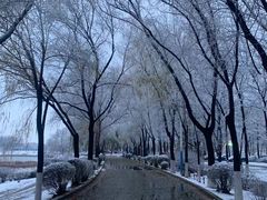 -丁香湖公园