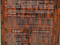 -铁山坪森林公园