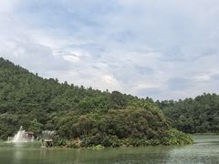 -广州白江湖森林公园