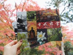 -常寂光寺