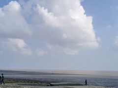 -南汇嘴观海公园