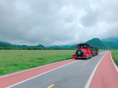 -大九湖