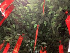 -满园烤鸭·春饼(华强广场店)