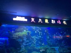 -多彩贵州城极地海洋世界