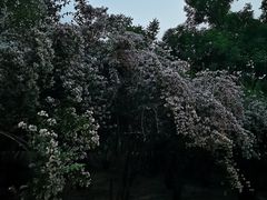 -秀水公园