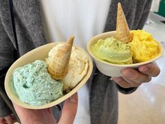-极拉图·现制冰淇淋(大卫城店)