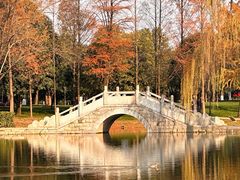 -橘子洲景区