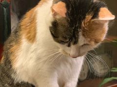 -天一朴素(武汉大学店)