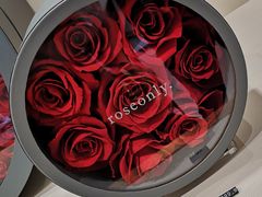 -ROSEONLY诺誓(沈阳万象城店)