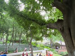 -成都市活水公园