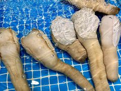 -三亚火车头万人海鲜广场