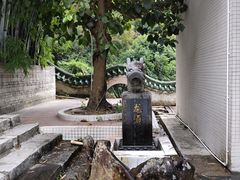 -汕尾莲花山温泉度假村