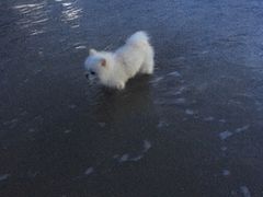 -胖大嫂渔家排档·全海景餐厅(渔村店)