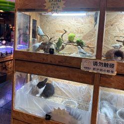 -造物庄园 萌宠纪(苏州湾歌林公园店)