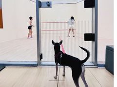 -健身专家Wellness Experts