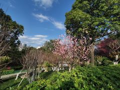 -乌山风景区