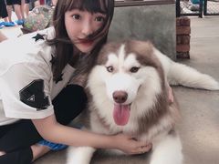 -TrueLove @ Neverland (Husky Cafe)