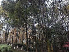 -重庆彩云湖湿地公园
