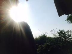 -火炉山森林公园