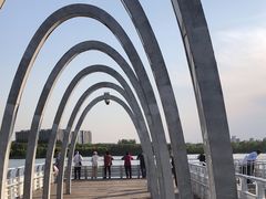 -大兴滨河森林公园