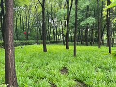 -古塔公园
