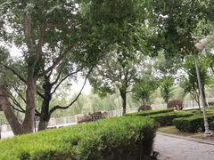 -汉口江滩-江滩观星台