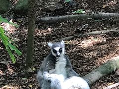-可伦宾野生动物保护区