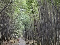 -穹窿山景区