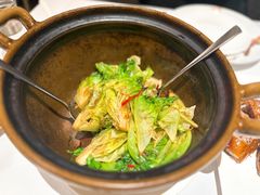-新同乐鱼翅酒家(美丽华店)