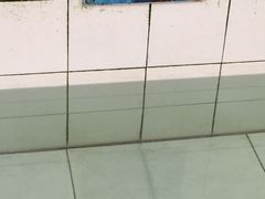 -广东惠东海龟国家级自然保护区