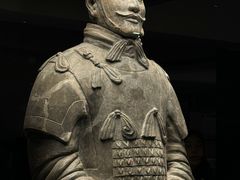 -秦始皇帝陵博物院(兵马俑)