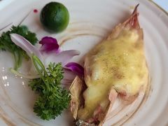 -衣川小森林·料理·寿司(鸿铭中心店)
