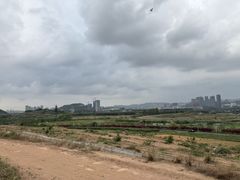 -光明小镇欢乐田园