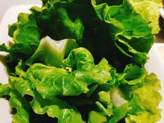 生菜-海底捞火锅(海澜财富中心店)