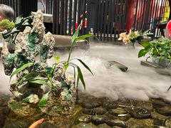 -将太无二·蓝鳍放题·北美寿司(领展购物广场中关村店)
