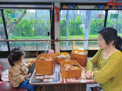 -广州都市观光巴士(粤陶巴)