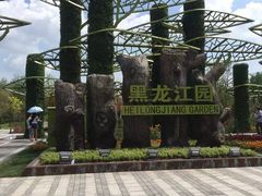 -武清南湖绿博园