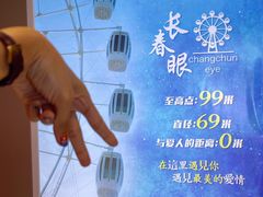 -摩天活力城·摩天轮