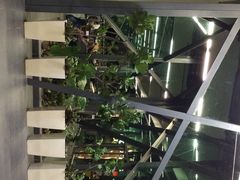 iphone_upload_pic-吉隆坡国际机场