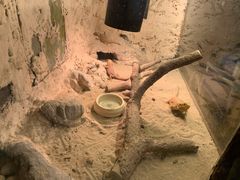 -上海大自然野生昆虫馆