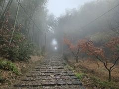 -仙霞关景区