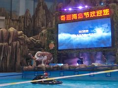 -青岛东方影都融创水世界
