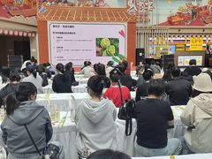 -中街·盛京龙城