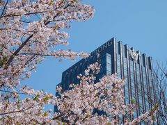 -龙美术馆(西岸馆)