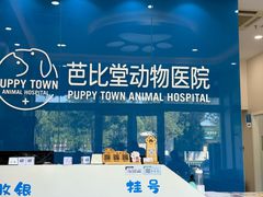 -芭比堂动物医院·CT·微创中心(新顺分院)