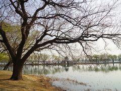 -颐和园