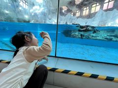 -帝企鹅自助餐厅•儿童岛•真企鹅(长隆企鹅酒店)