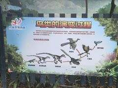 -广州长隆飞鸟乐园